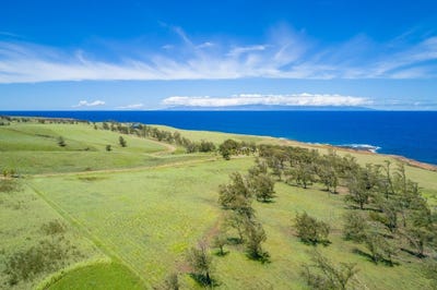 /international/us/hoea-rd-hawi-hi-110103227199/