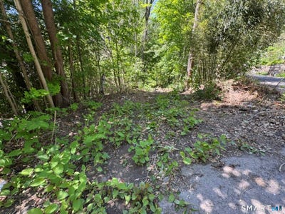 /international/us/wooster-street-naugatuck-ct-110108092220/