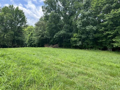 /international/us/588-carter-church-road-adolphus-ky-110100394968/