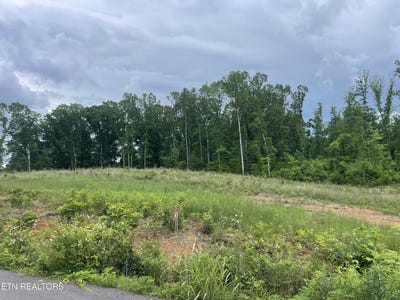 /international/us/lot-16-laura-boling-loop-rd-strawberry-plains-tn-110101320677/?lang=en