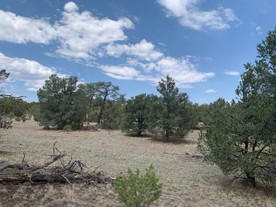 /international/us/lot-45-log-canyon-road-datil-nm-110101954411/