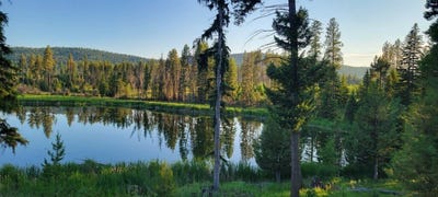 /international/us/281-daisy-lane-seeley-lake-mt-110106772245/
