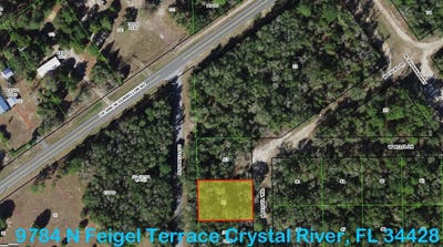 /international/us/9784-n-feigel-ter-crystal-river-fl-110100306193/