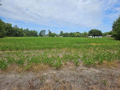 /international/us/alice-myers-lane-olanta-sc-110102116528/