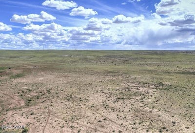 /international/us/tbd-211-25-116-perified-forest-estates-adamana-az-110097592807/