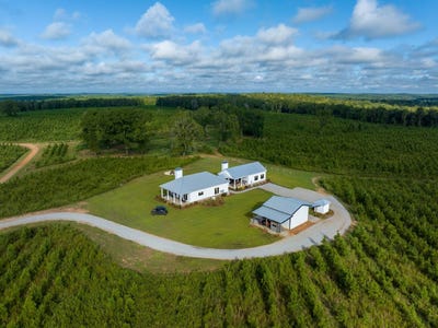 /international/us/145-greene-loop-coleman-ga-110119990225/