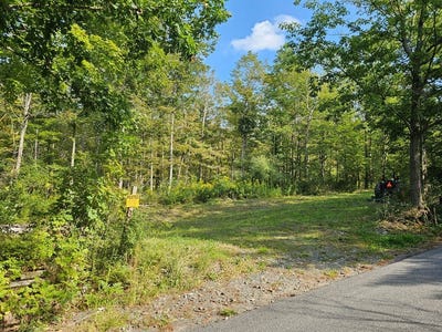 /international/us/676-steege-hill-road-big-flats-ny-110098240863/