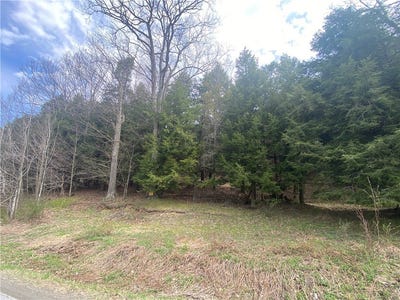 /international/us/lot-b-piermott-lane-hartwick-ny-110099189958/?lang=en
