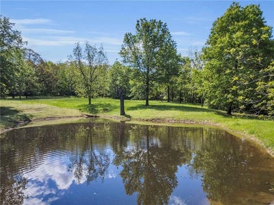 /international/us/8-acres-se-rattle-snake-hill-drive-butler-mo-110099273627/?lang=zh-cn