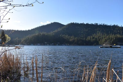 /international/us/tbd-e-deer-lake-way-loon-lake-wa-110100252467/?lang=en