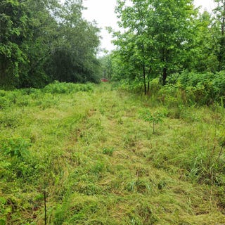 /international/us/2852-county-road-3411-clarksville-ar-110099601751/