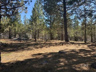 /international/us/46n06c-cold-creek-spur-davis-creek-ca-110120482283/