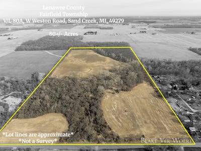 /international/us/w-weston-road-sand-creek-mi-110106852431/