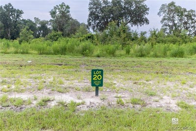 /international/us/1485-oxford-preserve-trail-oxford-fl-110108843811/