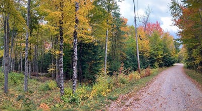 /international/us/partridge-road-lot-5-jackson-nh-110119800006/