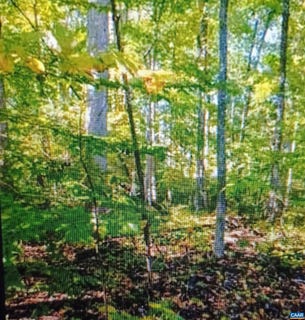 /international/us/ferndale-dr-lot-1154-louisa-va-110104554897/
