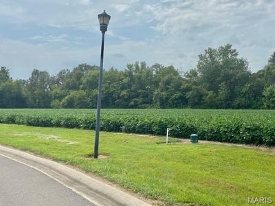 /international/us/0-timber-creek-rd-dexter-mo-110104239041/