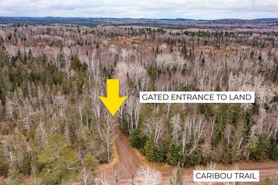 /international/us/2760-caribou-tr-lutsen-mn-110103435840/