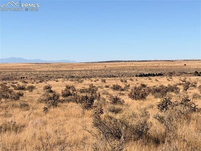 /international/us/longhorn-ranch-lot-316-model-co-110103363192/