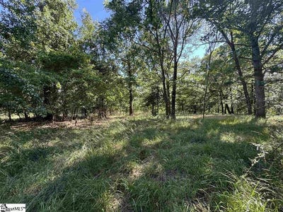 /international/us/farmers-hill-road-liberty-sc-110108979023/