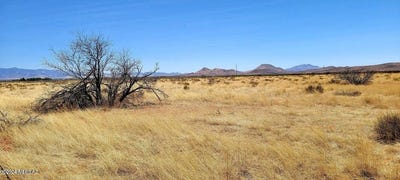 /international/us/lot-3-highway-181-elfrida-az-110099063754/?lang=en