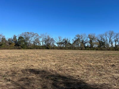 /international/us/4-ac-lot-11-willie-varnum-rd-cottonwood-al-110095109869/?lang=fr