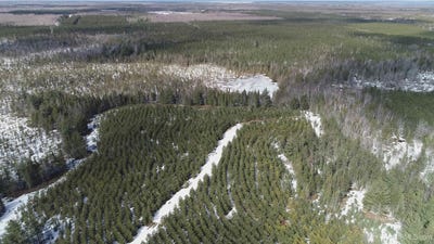 /international/us/40-acres-off-flodin-road-thompson-mi-110107258975/