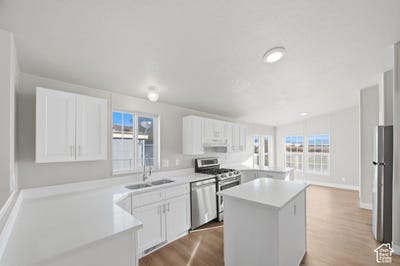 /international/us/2591-s-arabian-way-west-valley-city-ut-110120746293/