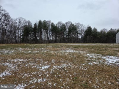 /international/us/white-spruce-way-lot-2-conowingo-md-110104122447/