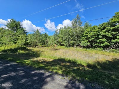 /international/us/l-16-5-donlan-heights-road-broome-ny-110101140393/