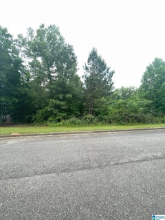 /international/us/cody-circle-lot-36-springville-al-110091839761/
