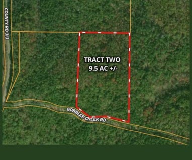 /international/us/tract-2-gobbler-creek-road-wedowee-al-110100624351/