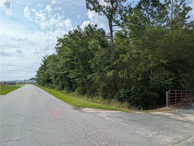 /international/us/langdale-drive-nashville-ga-110107958766/