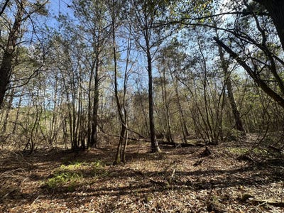 /international/us/snider-avenue-lot-e-al-110108125582/