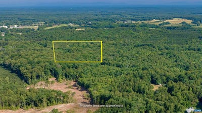 /international/us/lot-1-stag-rd-bremo-bluff-va-110102752249/