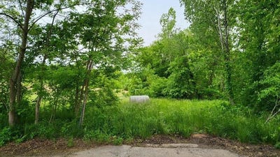 /international/us/tbd-horseshoe-drive-oak-grove-mo-110100593855/