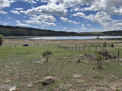 /international/us/76-lakeview-drive-mormon-lake-az-110100973083/?lang=en
