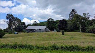 /international/us/1408-east-brook-road-hamden-ny-110101041767/?lang=en