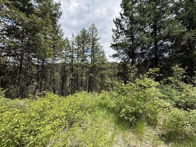 /international/us/tbd-slippery-hill-rd-republic-wa-110108297672/