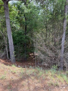/international/us/0-live-oak-rd-luverne-al-110108353981/