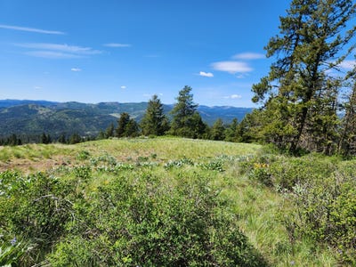/international/us/tbd-knob-hill-east-rd-republic-wa-110108223902/