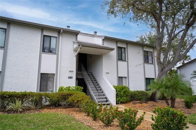 /international/us/117-e-cypress-court-oldsmar-fl-110103250397/