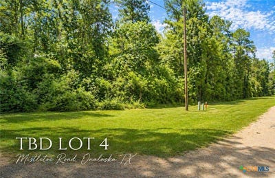 /international/us/mistletoe-street-onalaska-tx-110106224579/