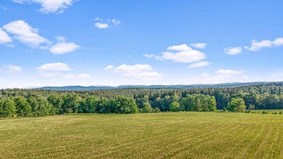 /international/us/137-stone-ridge-dr-charlotteville-ny-110101330815/?lang=zh-tw