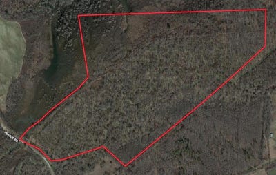 /international/us/teague-rd-medon-tn-110102376577/