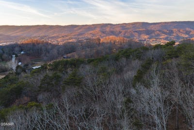 /international/us/1655-lester-whitt-road-rutledge-tn-110104602952/