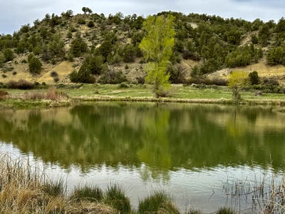 /international/us/7149-7198-cr-213-durango-co-110103755218/