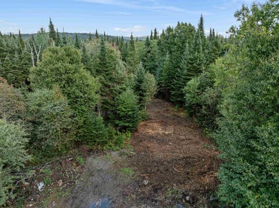 /international/us/wood-yard-crossing-lot-2-pittsburg-nh-110120451579/