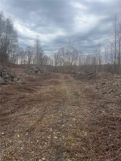 /international/us/houck-mountain-road-walton-ny-110101516329/?lang=zh-cn
