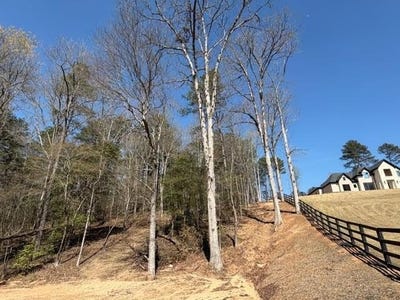 /international/us/jack-pittman-road-lot-0-dacula-ga-110109166930/